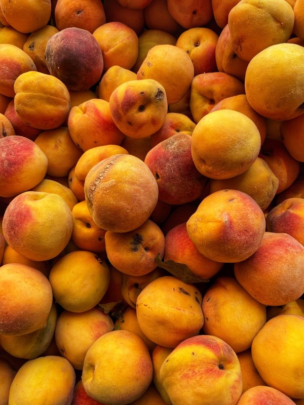 Les meilleures destinations pour des vacances de pêche