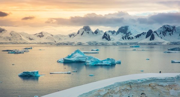 tout savoir sur les croisières en Antarctique